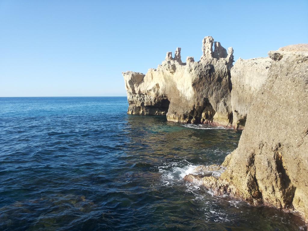 Hotel Alexander Santa Domenica  Dış mekan fotoğraf
