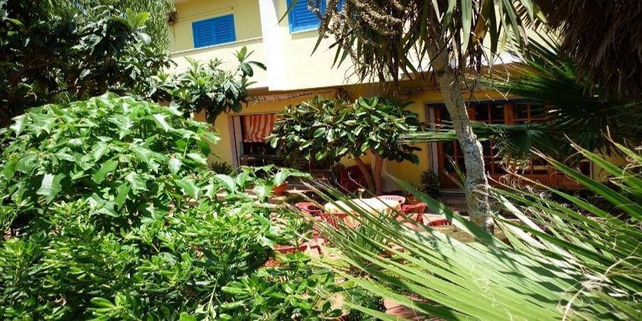 Hotel Alexander Santa Domenica  Dış mekan fotoğraf